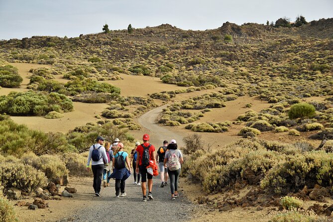 1 private tour teide national park hiking and stargazing PRIVATE TOUR Teide National Park: Hiking and Stargazing