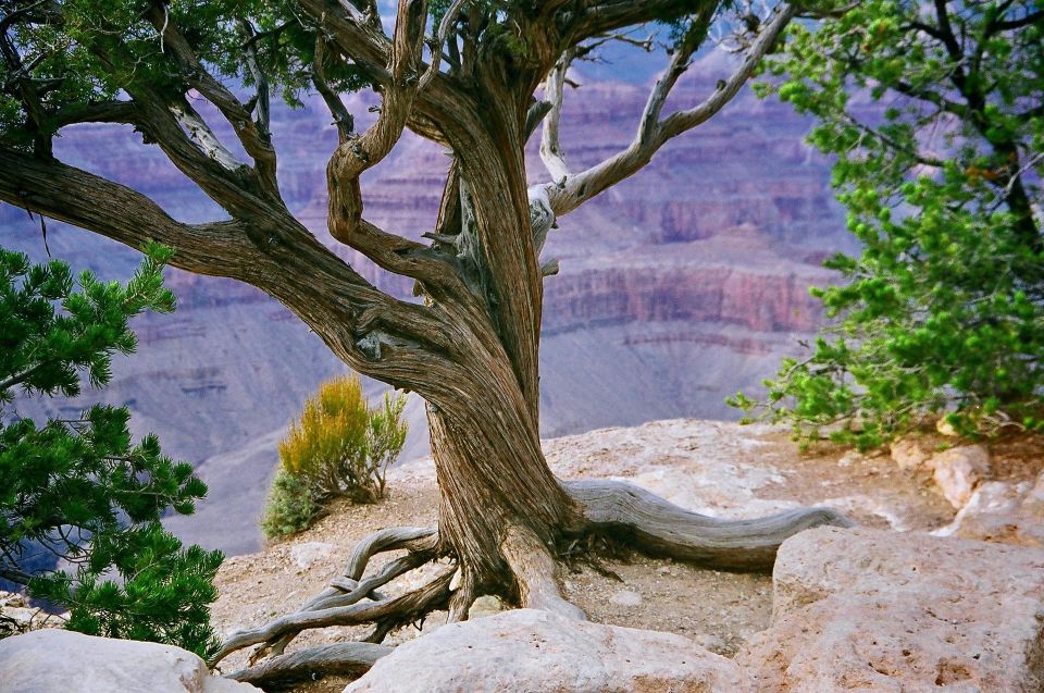 1 private tour to antelope canyon x and horseshoes bend Private Tour to Antelope Canyon X and Horseshoes Bend