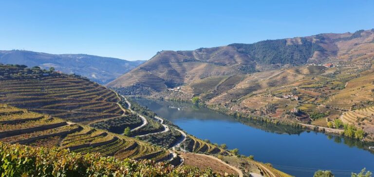 Private Tour to Douro Valley 2 Wine Tastings, Lunch and Boat