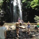 1 private tour tropical rainforest and waterfalls day trip from cairns Private Tour: Tropical Rainforest and Waterfalls Day Trip From Cairns
