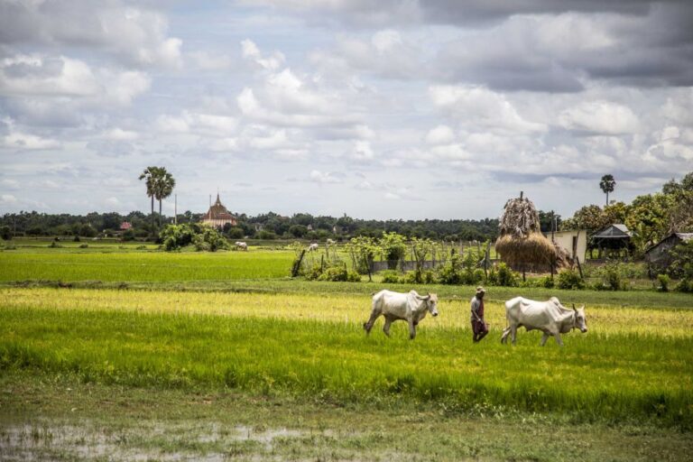 Private Transfer From Phnom Penh – Siem Reap