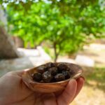 1 private trip through heart of crete wine tasting from heraklion Private Trip Through Heart of Crete & Wine Tasting From Heraklion