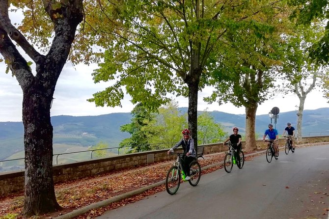 Private Tuscany Cycling Tour From Florence