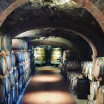 1 private tuscany wine tour experience from florence Private Tuscany Wine Tour Experience From Florence
