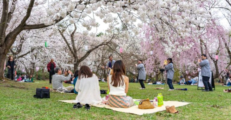 Private & Unique Kanazawa Cherry Blossom “Sakura” Experience