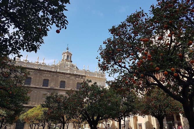 1 private walking tour in seville city center Private Walking Tour in Seville City Center