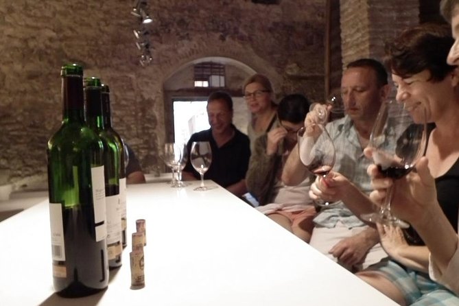 Private Wine and Oil Tour in the Priorat Wine Region