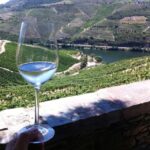 1 private wine experience in vinho verde Private Wine Experience in Vinho Verde