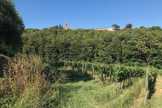 Private Wine Tour – Lucca Hills and Montecarlo (2 Wineries)