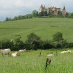 1 private wine tour to burgundy region from paris Private Wine Tour to Burgundy Region From Paris