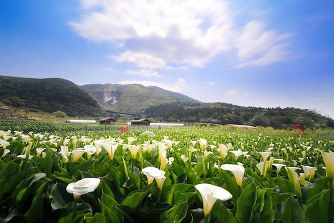 1 private yangmingshan beitou tour from taipei with pickup Private Yangmingshan & Beitou Tour From Taipei With Pickup