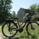 1 provence and the carrieres de lumieres by e bike from saint remy de provence Provence and the Carrieres De Lumieres by E-Bike From Saint-Rémy-De-Provence