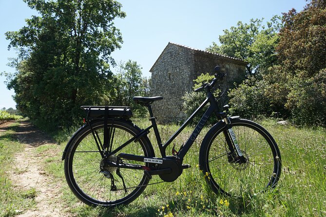 Provence and the Carrieres De Lumieres by E-Bike From Saint-Rémy-De-Provence
