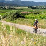 1 provence and wine tasting by e bike from saint remy de provence Provence and Wine Tasting by E-Bike From Saint-Rémy-De-Provence