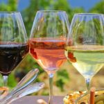 1 provence organic wine tasting half day tour from nice Provence Organic Wine Tasting Half Day Tour From Nice