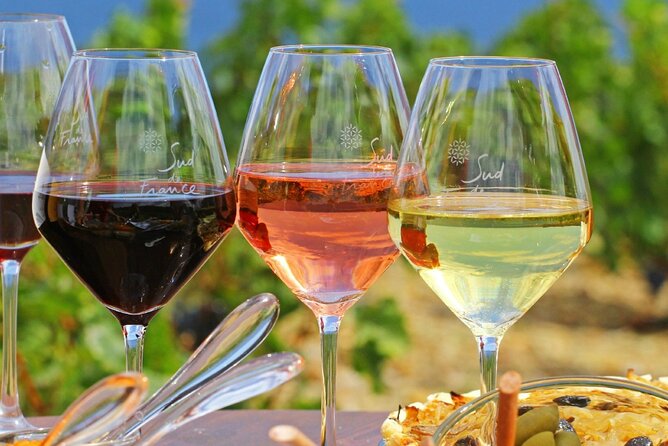 Provence Organic Wine Tasting Half Day Tour From Nice
