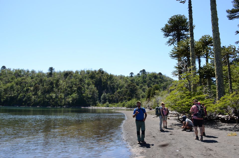 1 pucon full day villarrica national park hike Pucon: Full-Day Villarrica National Park Hike