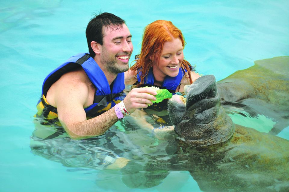 1 puerto aventuras dolphin swim sea lions manatees lunch Puerto Aventuras: Dolphin Swim, Sea Lions, Manatees, & Lunch