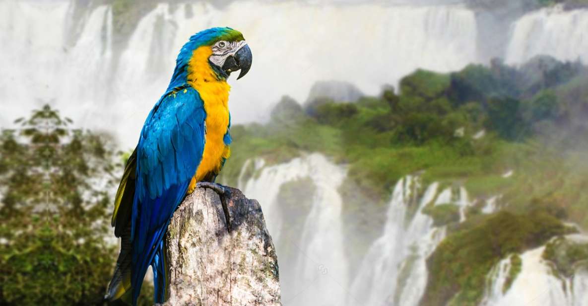 1 puerto iguazu iguaza falls brazilian side bird park tour 2 Puerto Iguazu: Iguaza Falls Brazilian Side & Bird Park Tour