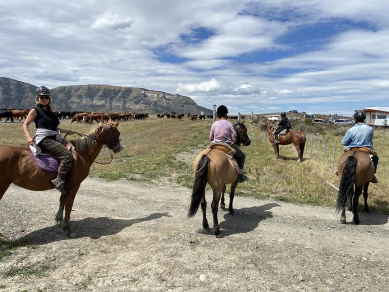 Puerto Natales: Horseback Riding With Horse Connection