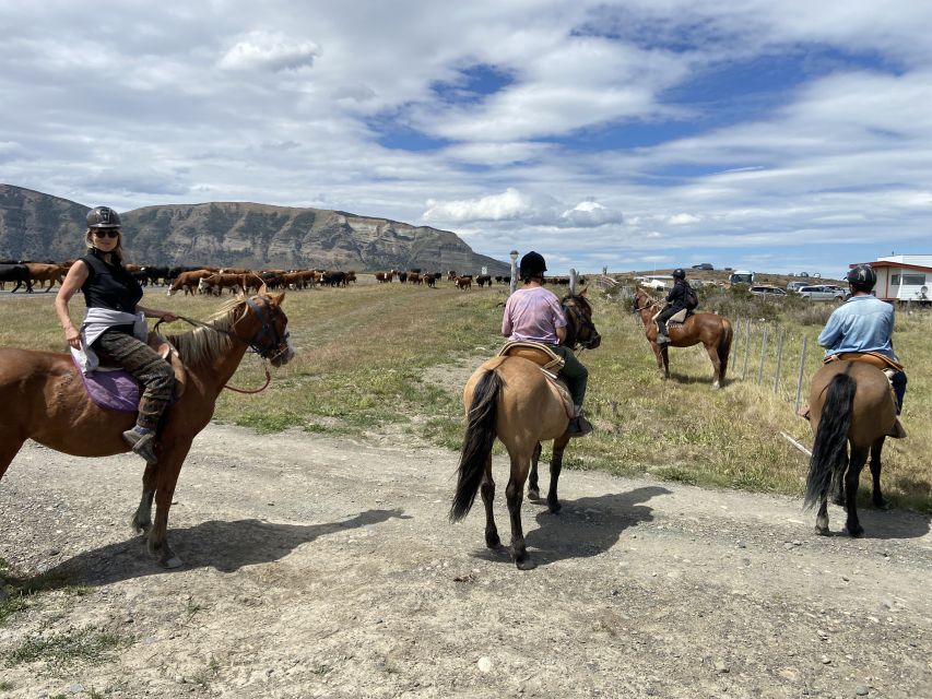 1 puerto natales horseback riding with horse connection Puerto Natales: Horseback Riding With Horse Connection