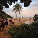 1 puerto plata 2 hour horseback ride on the beach Puerto Plata: 2-Hour Horseback Ride on the Beach