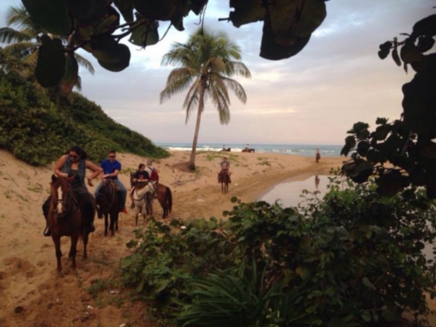 1 puerto plata 2 hour horseback ride on the beach Puerto Plata: 2-Hour Horseback Ride on the Beach