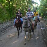 1 puerto plata mountain horse ride tour with drinks Puerto Plata: Mountain Horse Ride Tour With Drinks