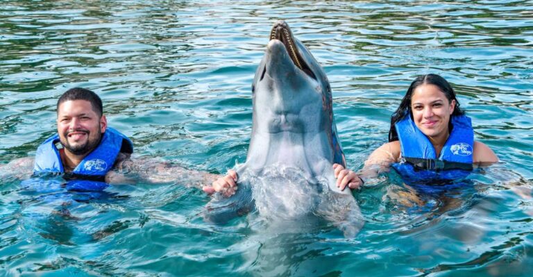 Puerto Plata: Ocean World Adventure Park Swim With Dolphins