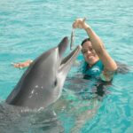 1 puerto plata ocean world dolphin swim Puerto Plata Ocean World Dolphin Swim