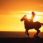 1 puerto plata sunset beach horseback riding tour Puerto Plata: Sunset Beach Horseback Riding Tour