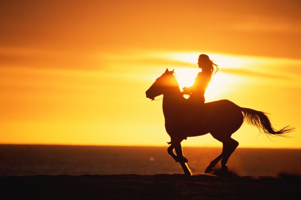 1 puerto plata sunset beach horseback riding tour Puerto Plata: Sunset Beach Horseback Riding Tour