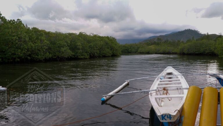 Puerto Princesa: Firefly Watching Paddle Boat Tour & Dinner
