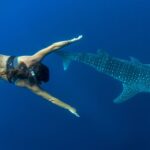 1 puerto princesa swim with whale sharks boat cruise Puerto Princesa: Swim With Whale Sharks Boat Cruise
