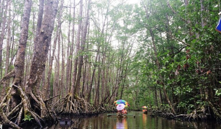 Puerto Princesa: Underground River, Zipline, Paddleboat Tour