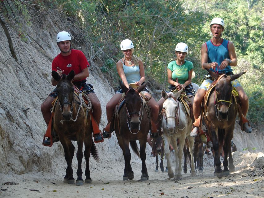 1 puerto vallarta outdoor ziplines and rappel adventure Puerto Vallarta: Outdoor Ziplines and Rappel Adventure