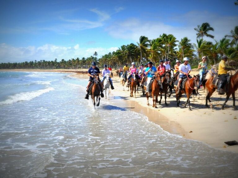 Punta Cana: 1 Hour of Horseback Riding With Hotel Pickup