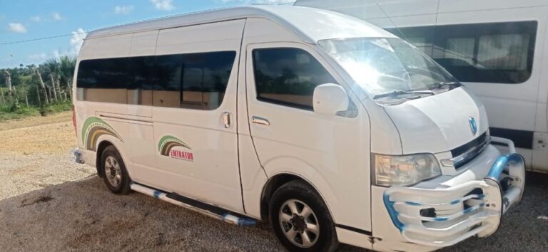 Punta Cana: Airport Transfer by Private Shuttle