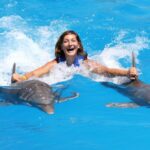 1 punta cana dolphin discovery swims and encounters Punta Cana: Dolphin Discovery Swims and Encounters