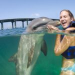 1 punta cana dolphin explorer swims and interactions Punta Cana: Dolphin Explorer Swims and Interactions