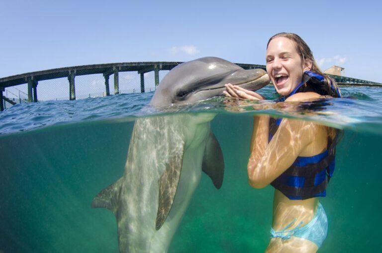 Punta Cana: Dolphin Explorer Swims and Interactions