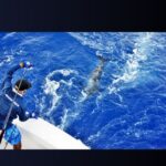 1 punta cana fishing charters private boat excursion vip Punta Cana: Fishing Charters - Private Boat Excursion Vip