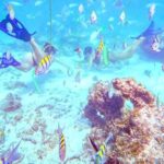 1 punta cana guided power dive adventure Punta Cana: Guided Power Dive Adventure