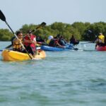 1 punta cana los haitises hike kayaking mangroves Punta Cana: Los Haitises Hike & Kayaking Mangroves