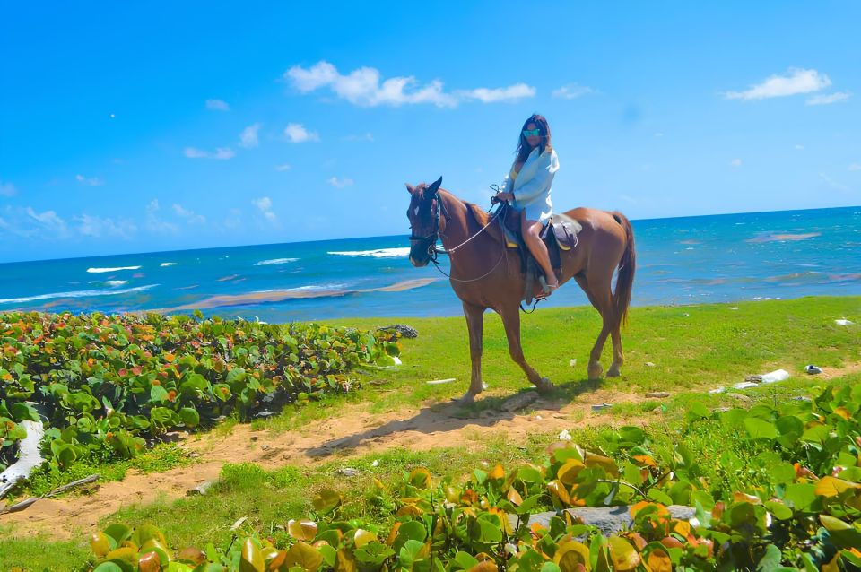 1 punta cana macao beach tour on horseback with transfers Punta Cana: Macao Beach Tour on Horseback With Transfers