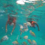 1 punta cana speedboat and snorkeling adventure Punta Cana: Speedboat and Snorkeling Adventure