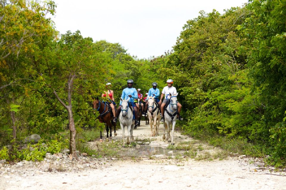 1 punta cana swim with horses guided horseback tour Punta Cana: Swim With Horses Guided Horseback Tour
