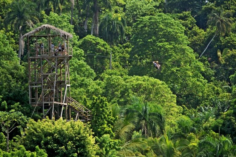 Punta Cana: Zip-Lining 12 Cables