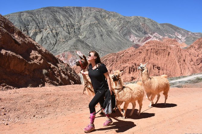 Purmamarca Walk With Llamas - Experience Details