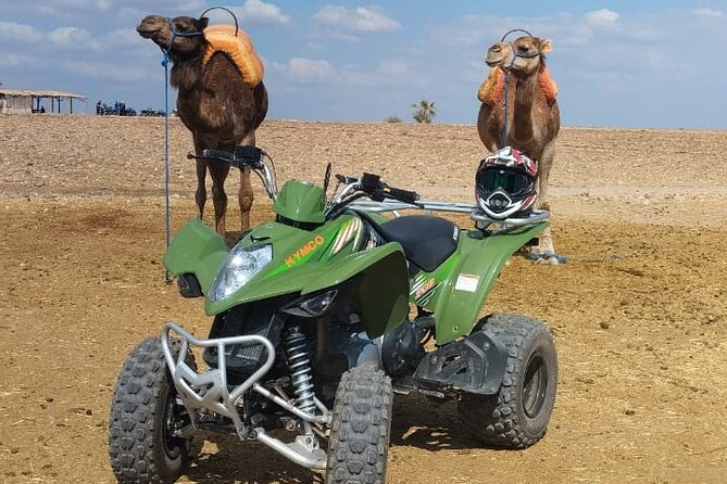 Quad in the Palmeraie of Marrakech
